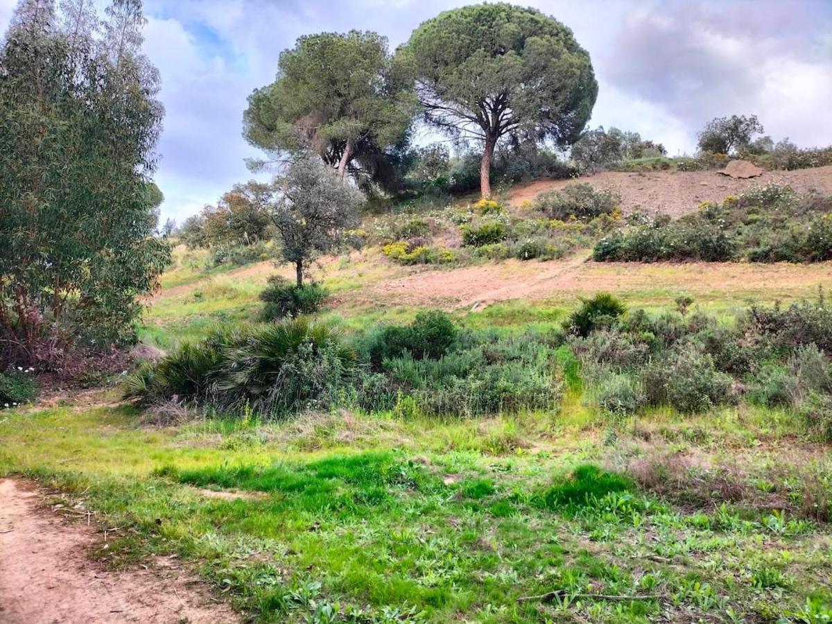Finca Riodiel Gibraleon Ngoại thất bức ảnh