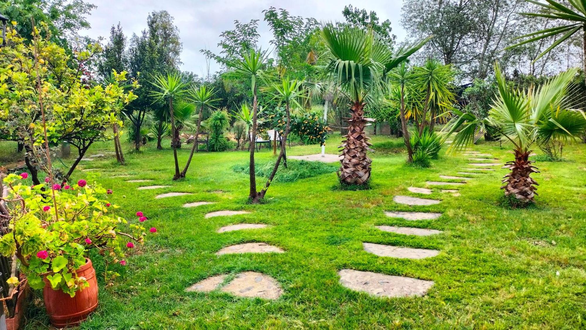 Finca Riodiel Gibraleon Ngoại thất bức ảnh